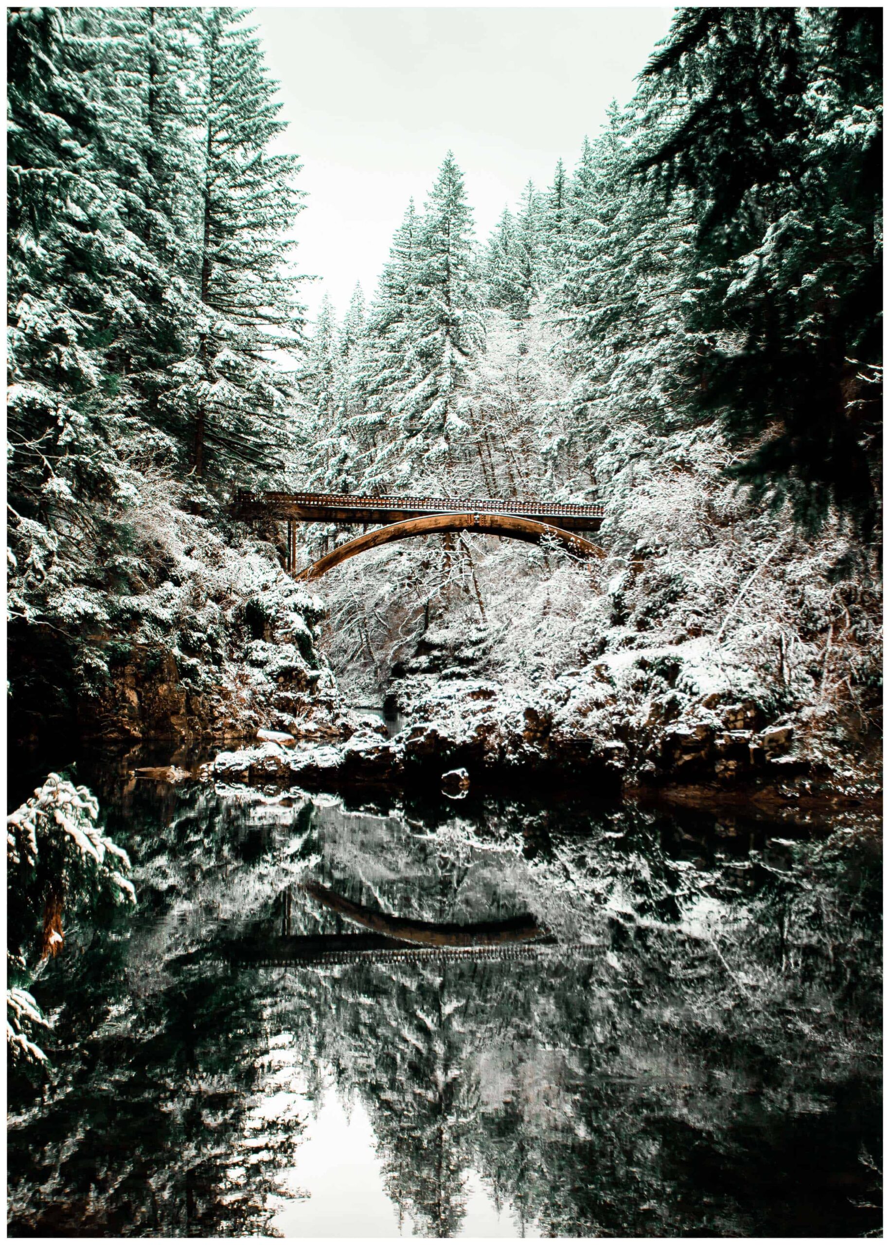 bridge in woods poster