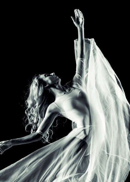 Ballet white  dancer on black background poster