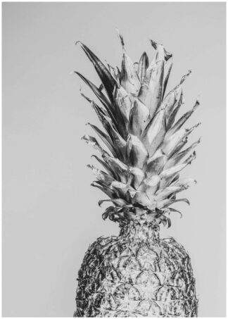 monochrome  pineapple poster