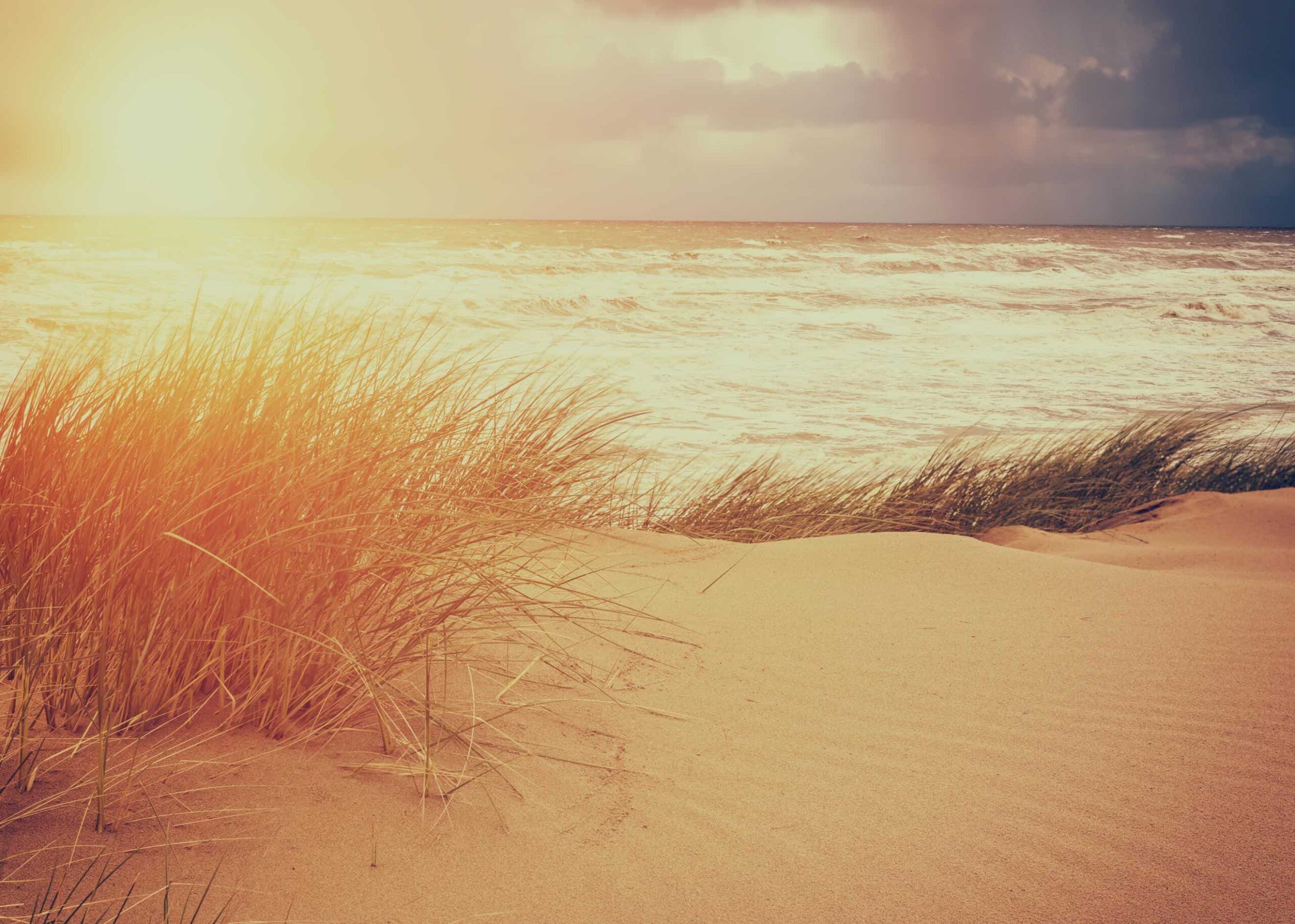 A large sand dune with beach grass poster